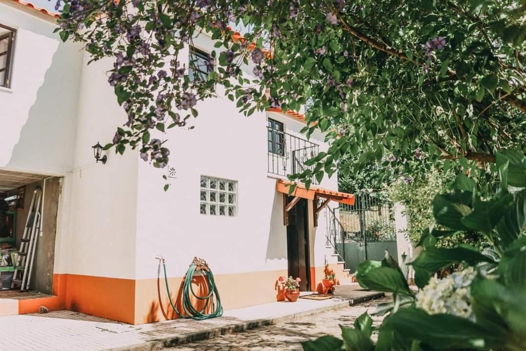 Casa Da Milharica Villa Figueiro Dos Vinhos Exteriör bild