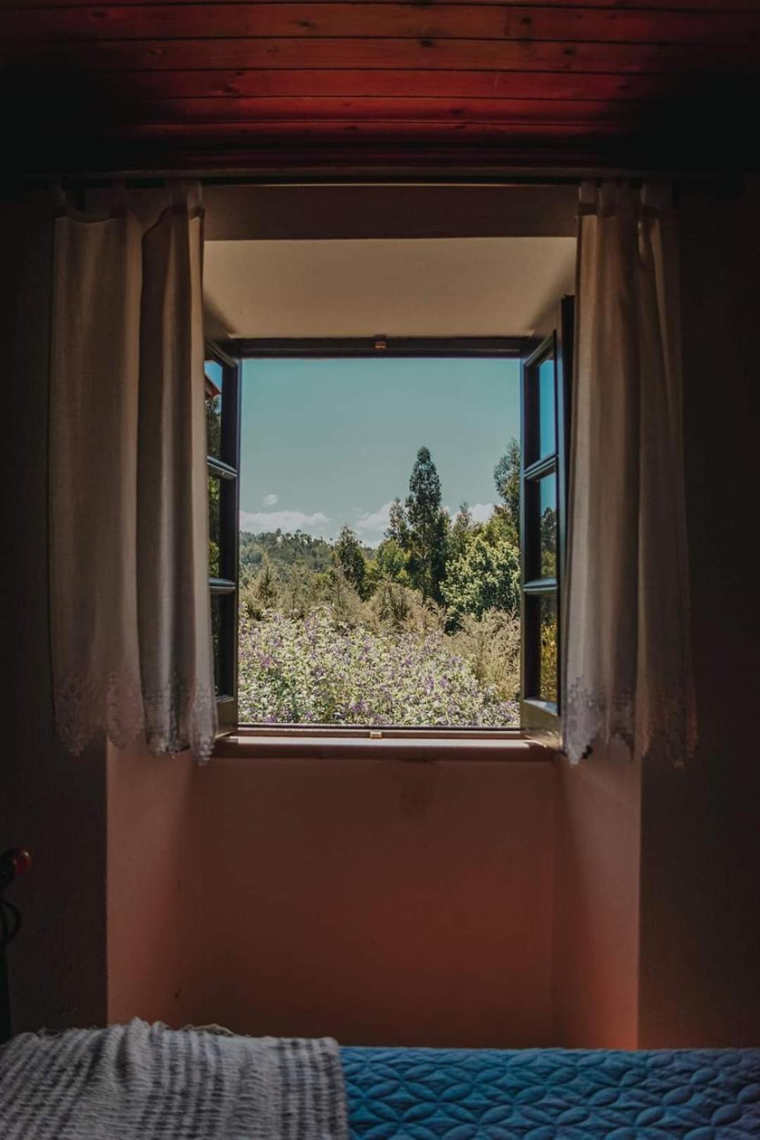Casa Da Milharica Villa Figueiro Dos Vinhos Exteriör bild