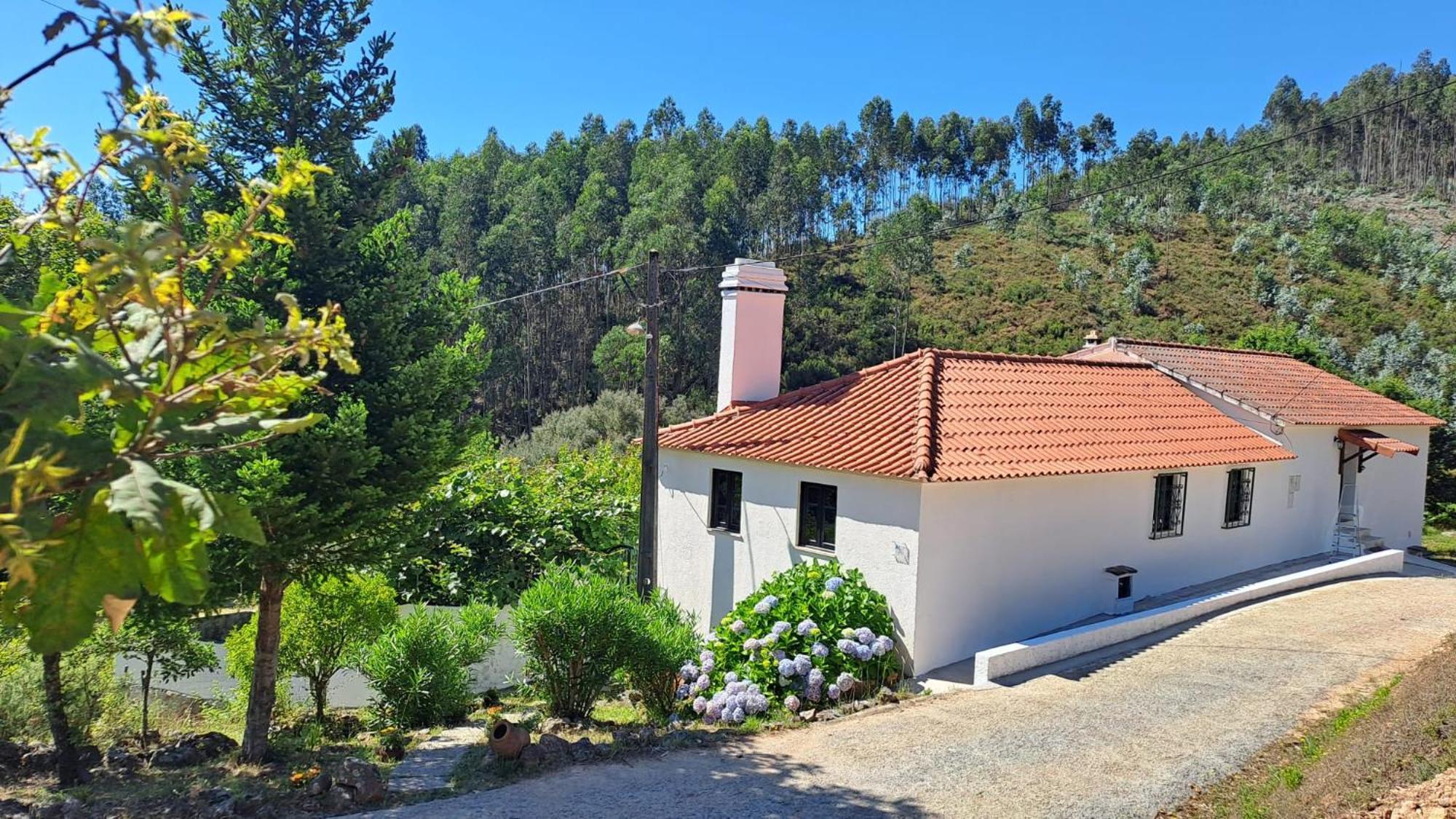 Casa Da Milharica Villa Figueiro Dos Vinhos Exteriör bild